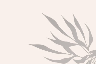 Gölge arkaplan bırakır. Gölgelerin etkisi. Arkaplan, duvar kağıdı ve kendi tasarımı için vektör dokusu.