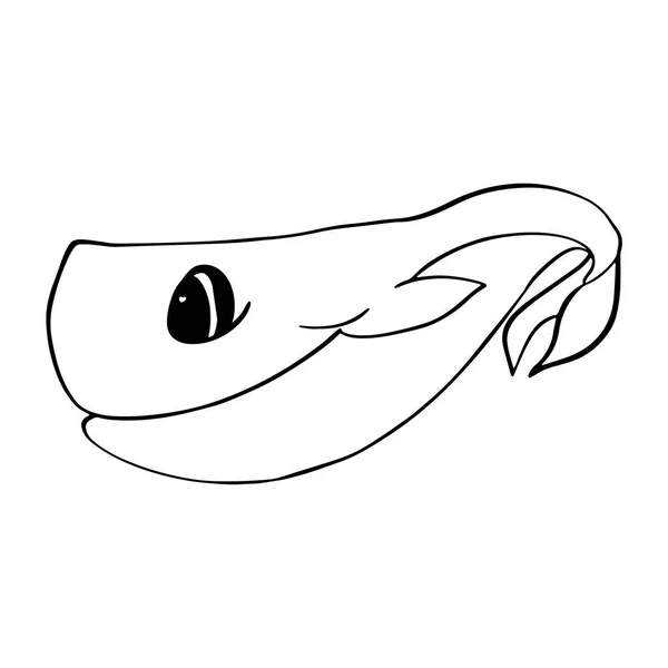 Baleine Sperme Illustration Contour Des Enfants Style Caniche Vecteur Peut — Image vectorielle