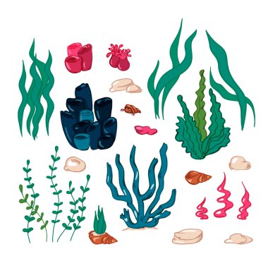 Vector cute set of design elements of the underwater world. Vector illustration in cartoon style. Can be used as stickers, decals, to decorate children's rooms. Stones, corals, algae.