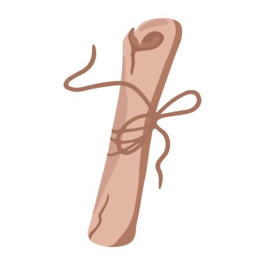 Bir rulo parşömen. Çizgi film tarzında vektör illüstrasyonu. Beyaz arkaplanda izole.