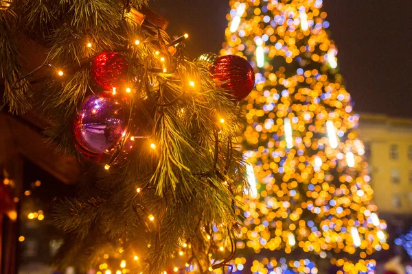 Noel oyuncakları ve çelenkler dallarda asılı