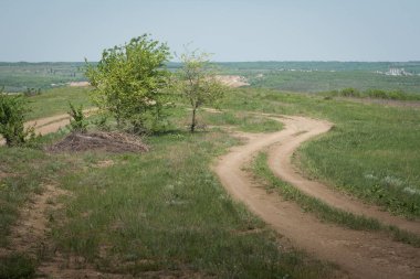 Bir çayırdaki ağacın yanında dolambaçlı bir yol.