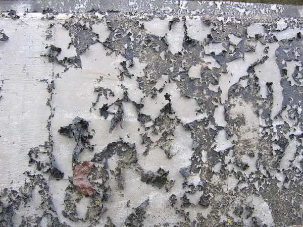 Beton duvar Peeling boya