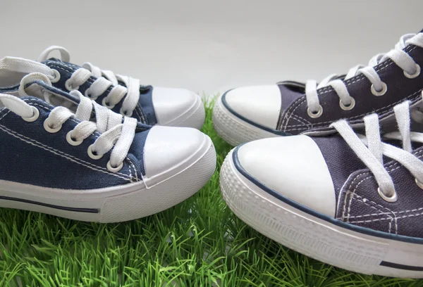 Uzun ömürlü rock n roll