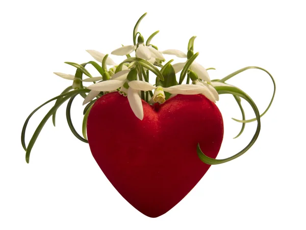 Çiçekler kalbinde. izole