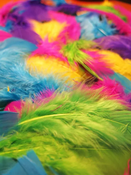 Fondo colorido hecho de plumas —  Fotos de Stock