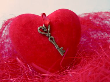 Yuvadaki kırmızı kalp