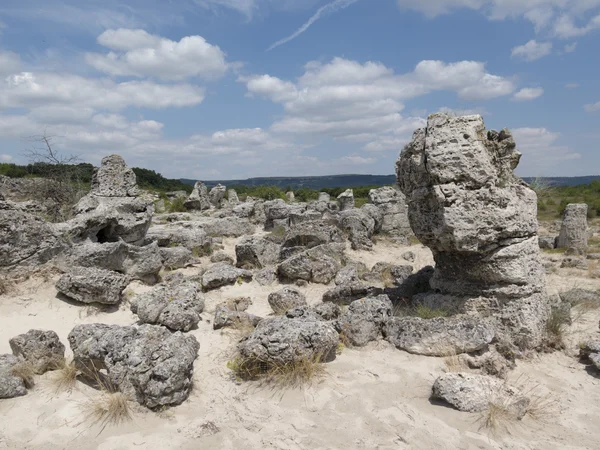 Varna, şaşırtıcı yakınındaki gökyüzünün altında taş orman (Pobiti Kamani)