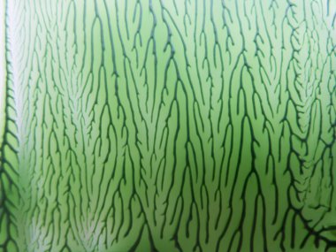 Akrilik boya, çizgilerle yeşil arka plan olduğunu