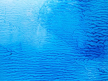 Mavi ağacın dalları