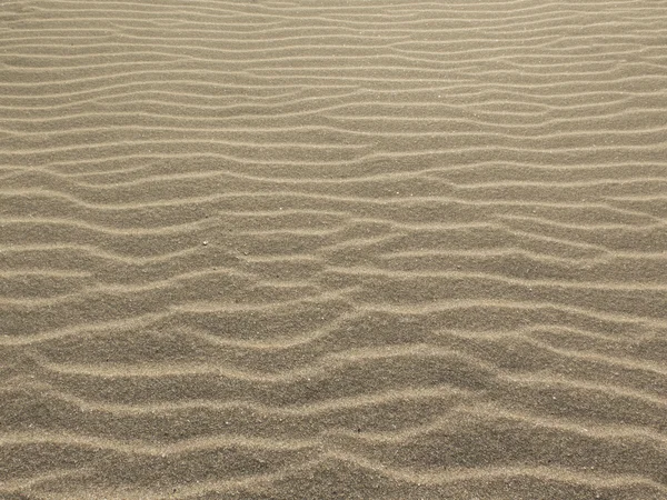 Zand achtergrond van hete laid zand golven — Stockfoto