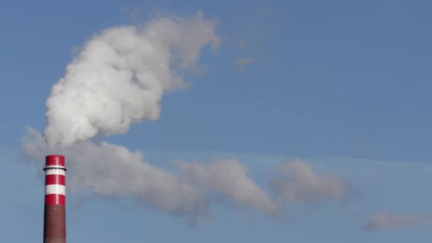 ルートビヒスハーフェン ドイツの化学工場の煙突 — ストック動画
