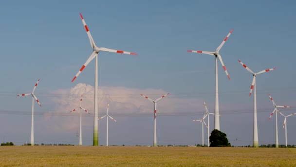 Energía Eólica Energía Eólica Turbina Eólica — Vídeo de stock