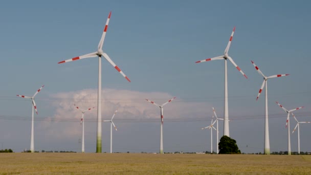 風力エネルギー風力発電 風力発電機 — ストック動画