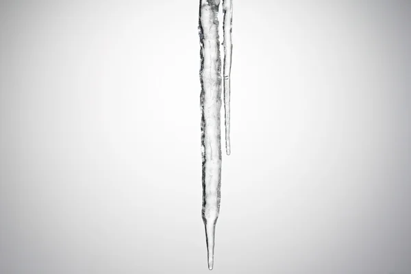 Thawing icicles  on white background — Stock Photo, Image