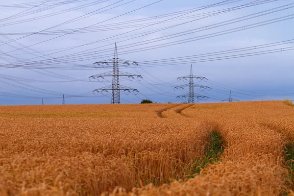 Línea de energía eléctrica y cielo azul — Foto de Stock