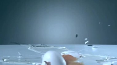 Yumurta ağır çekimde - 1050 fps düşüyor