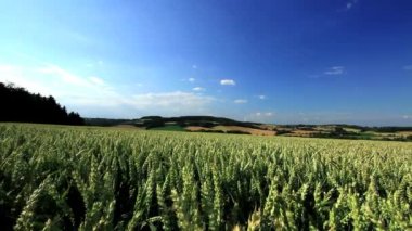 Rüzgar enerjisi, Rüzgar enerjisi, Rüzgar Türbini