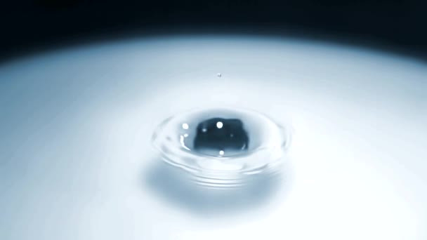 Water Drop — Stock Video