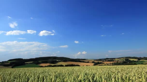 Landschaft deutschland - norrhein — Stockvideo