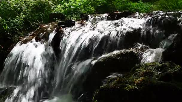 Cascade pittoresque en montagne 