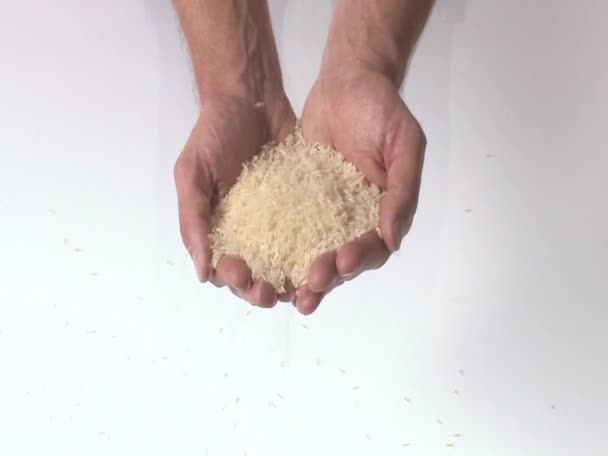 Рис падает на мужские руки — стоковое видео