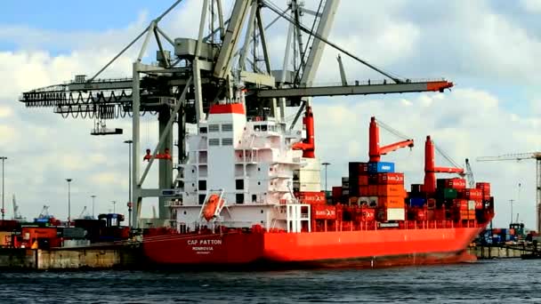 Container schip in de haven van Hamburg — Stockvideo