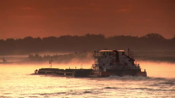 Nave en el río Rin, puesta del sol — Vídeos de Stock