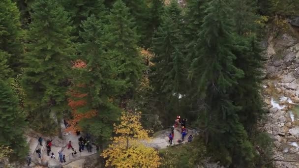 Місію порятунку з вертольота в баварських гір — стокове відео
