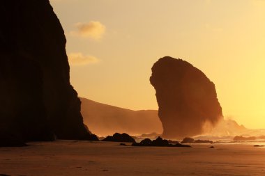 El cotillo fuerteventura ada Beach'de