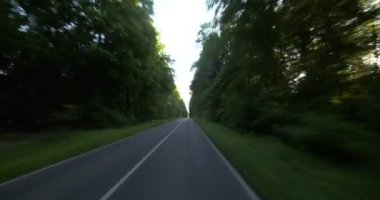 Bir araba sürüş - Pov - Forest Road - Bölüm 1 4