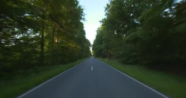 Köra-POV-körning i en mitt av vägen-skogen — Stockvideo
