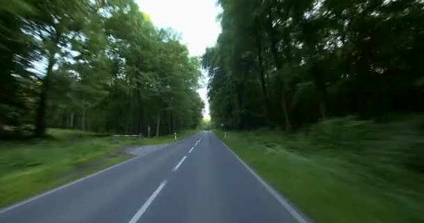 Een auto besturen-POV-bos — Stockvideo