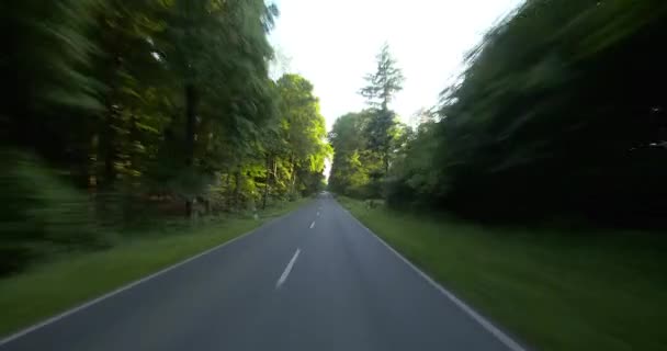 Οδήγηση αυτοκινήτου-POV-Forest Road-μέρος 2 από 4 — Αρχείο Βίντεο