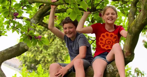 Chico y chica en el árbol divertirse — Vídeo de stock