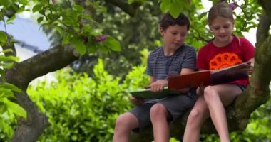 Ağacın üzerinde oturan kız ve erkek