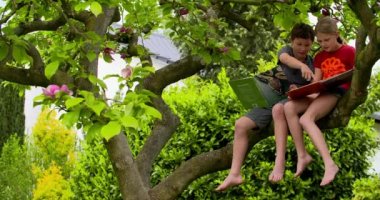 Ağacın üzerinde oturan kız ve erkek