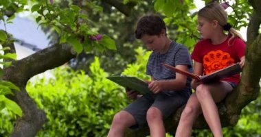 Ağacın üzerinde oturan kız ve erkek