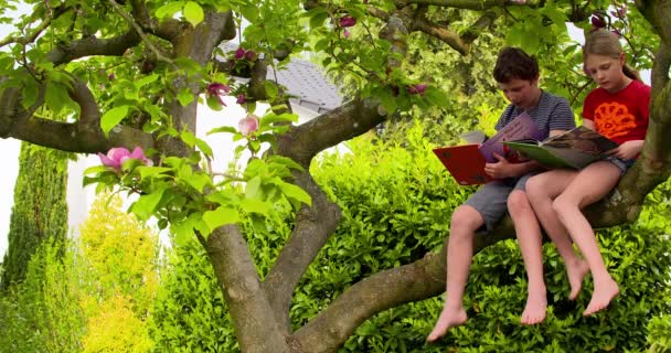 Niño y niña sentados en el árbol — Vídeos de Stock