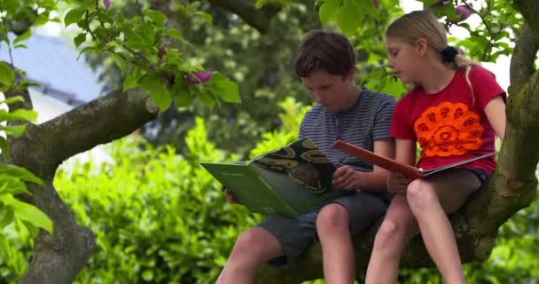 Niño y niña sentados en el árbol — Vídeo de stock