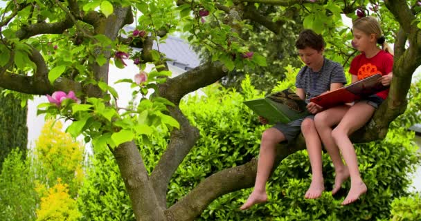 Мальчик и девочка сидят на дереве — стоковое видео