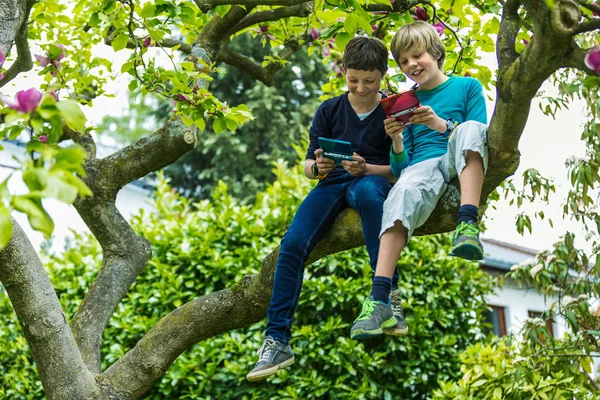 Two boys on tree playing games — Stock Photo, Image