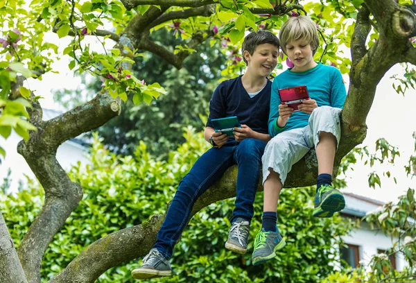 Two boys on tree playing games — Stock Photo, Image