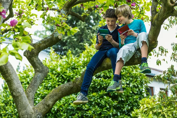Dva chlapci na stromě hraní her — Stock fotografie