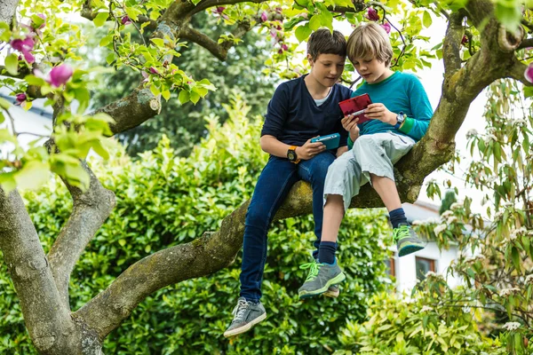 Two boys on tree playing games — Stock Photo, Image