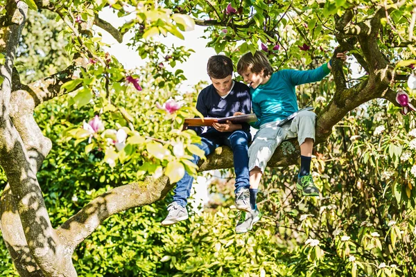 Two boys sitting on tree — Stock Photo, Image