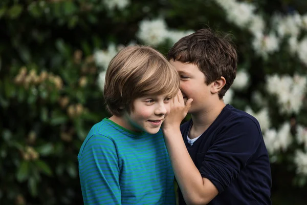 Deux garçons partageant un secret — Photo