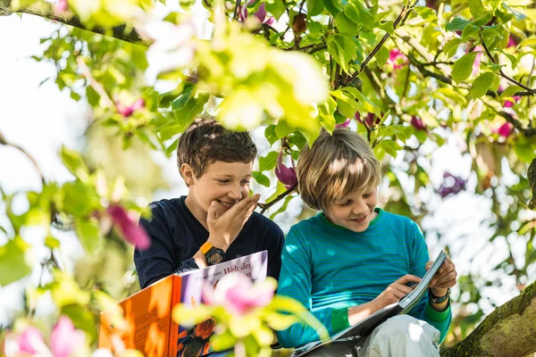 Two boys sitting on tree — Stock Photo, Image