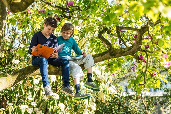 Two boys sitting on tree — Stock Photo, Image