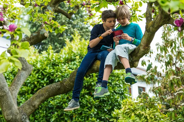 Twee jongens op boom spelen Stockfoto